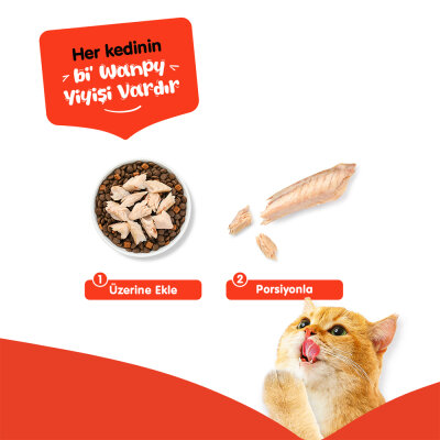 Wanpy Uskumru Fileto 25g Kedi Ödülü - 3